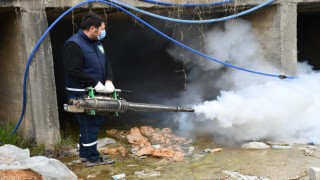 Osmaniye Belediyesi'nden Sivrisinek ve Karasineklerle Etkin Mücadele