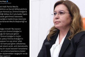 CHP'li Asu Kaya'dan Gülizar Biçer Karaca'ya Açılan Davaya Sert Tepki