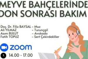 Osmaniye’de Çiftçilere Özel Online Tarım Eğitimi: Meyve Bahçelerinde Don Sonrası Bakım