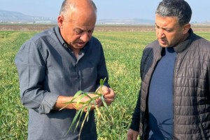 Osmaniye’de Kuraklık Alarmı: Çiftçiler Yağmurlama Sulamaya Geçti