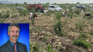 CHP'li Odabaşı Soğan Üreticisinin Mağduriyetini Gündeme Taşıdı