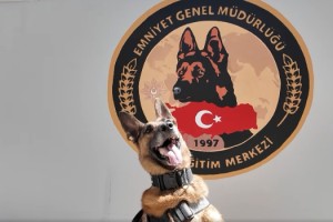 Osmaniye’de 25 Yıl Görev Yapan Narkotik Köpeği Pars Emekli Oldu