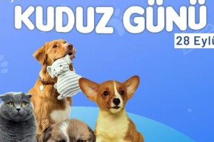 Osmaniye'den Kuduz Hastalığı Çağrısı: Yüzde 100 Önlenebilir