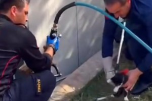 Osmaniye’de Konteyner Altında Kalan Kedi Kurtarıldı