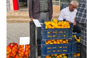 Üretici bahçede kalan mandalinasını kendisi pazarda satmaya başladı