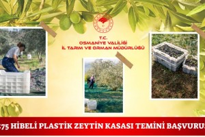 Osmaniye'de Eğitime Katılan Çifçilere Zeytin Kasası Verilecek