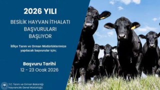 Osmaniye’de 2026 Besilik Hayvan İthalatı İçin Başvuru Süreci Duyuruldu