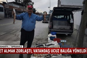 Et Almak Zorlaştı, Vatandaş Ucuz Balığa Yöneldi: 100 TL