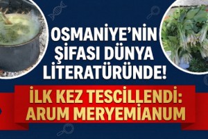 Amanoslar’da Keşfedildi, Annesinin Adıyla Bilime Kazandırıldı