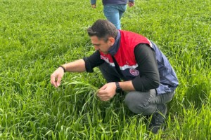 Osmaniye’de Tarla Kontrolleri ve Çiftçilere Teknik Bilgilendirme