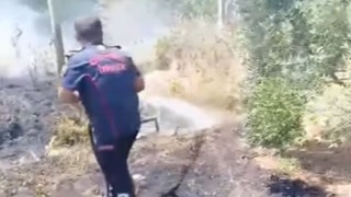Osmaniye Belediyesi İtfaiyesi Anız Yangınına Hızla Müdahale Etti