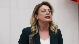 CHP Osmaniye İl Başkanlığına Tekerek Atandı, Asu Kaya'dan Sert Tepki