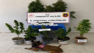 Osmaniye'de Jandarmadan Bir Haftada 116 Asayiş Olayına Müdahale