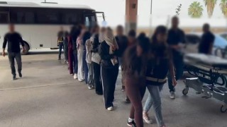 Osmaniye’de Operasyonda 8 Kişi Tutuklandı