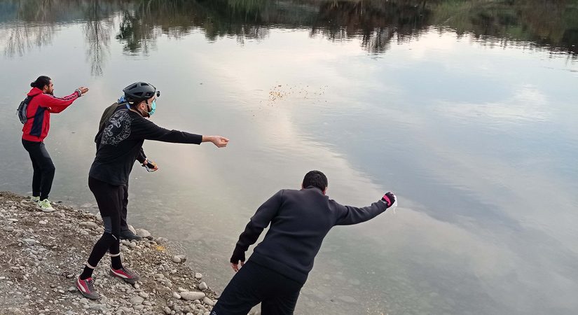 Kısıtlama sırasında, kuş ve balıklar beslendi