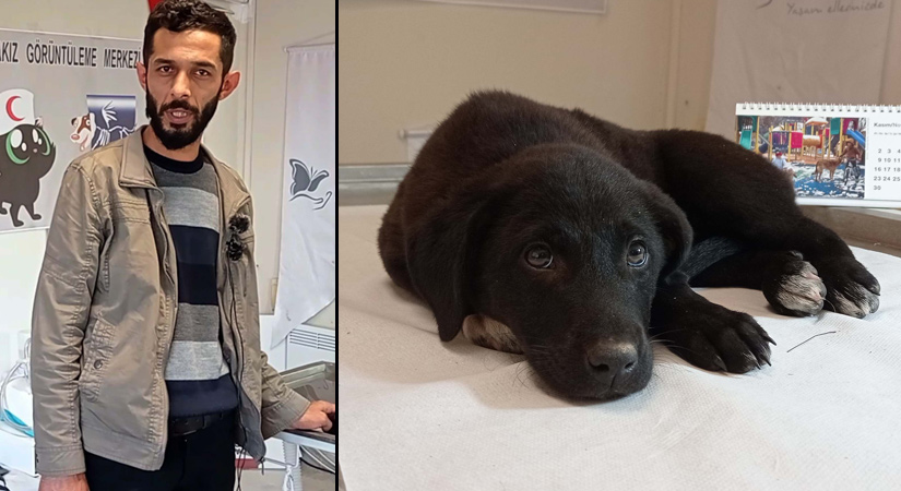 Otomobiliyle çarptığı sokak köpeğini tedavi ettirdi