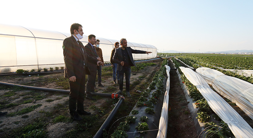 Tarım ve Orman İl Müdürü’nden işletme ziyareti