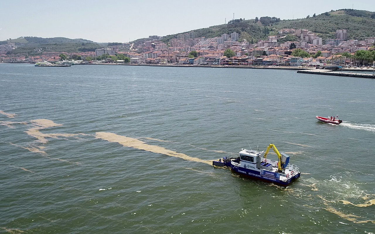 İstanbul Büyükşehir, Bursa kıyılarını temizlemeye başladı