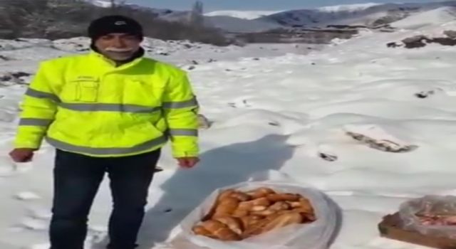 Aksaray'da hayvanseverlerden farkındalık