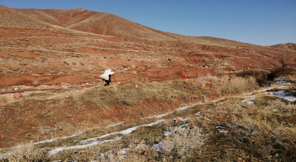Aksaray'da hayvanlara 'güvenlik' çemberi